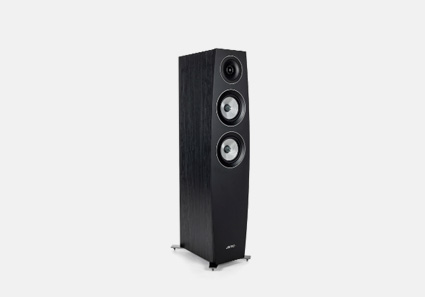 ALTAVOZ DE SUELO C95 II ALTAVOZ DE SUELO C95 II